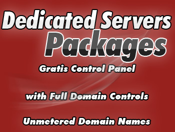 Economical dedicated hosting server account